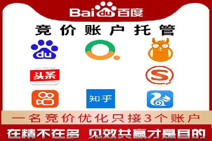 百度竞价排名案例：实战解析如何抢占市场先机